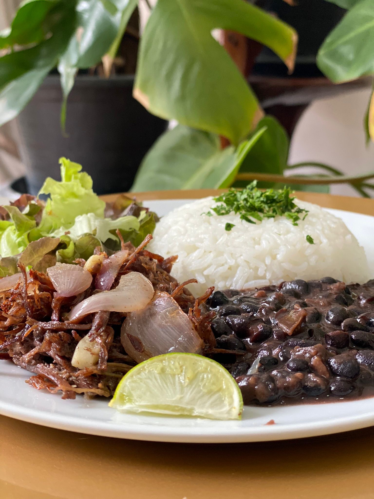 Ropa Vieja (Shredded beef)