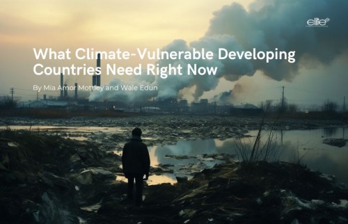What Climate-Vulnerable Developing Countries Need Right Now