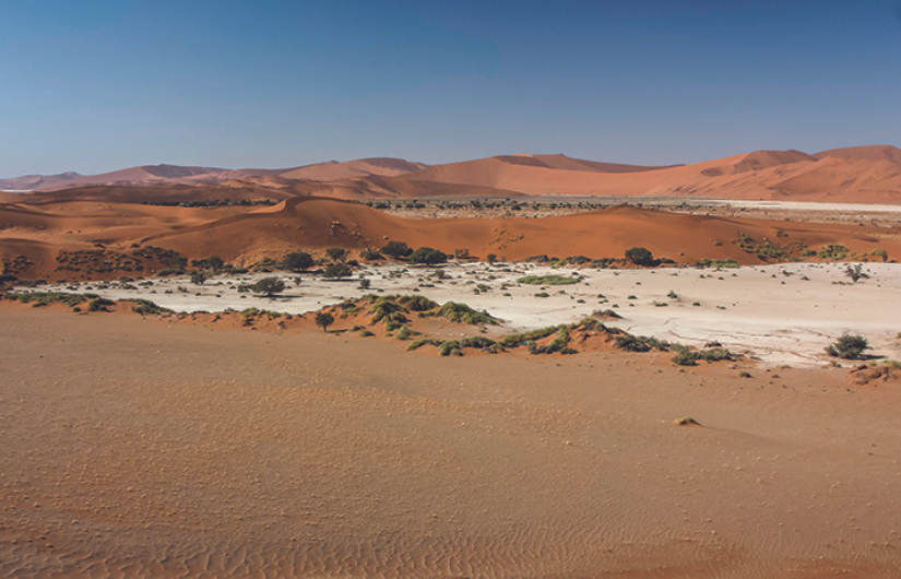 The Namib Sand Sea:  Namibia’s Second  World Heritage Site