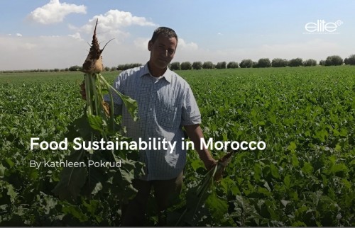 Food Sustainability in Morocco