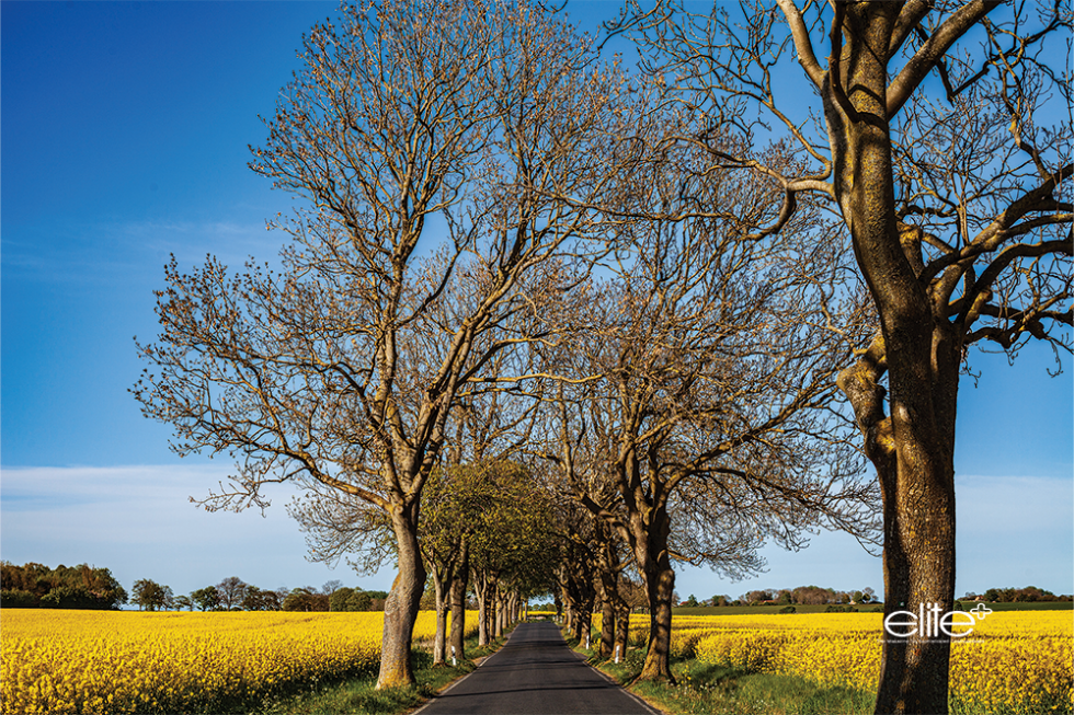 Roads through the interior of the island are as interesting as those along the coast.