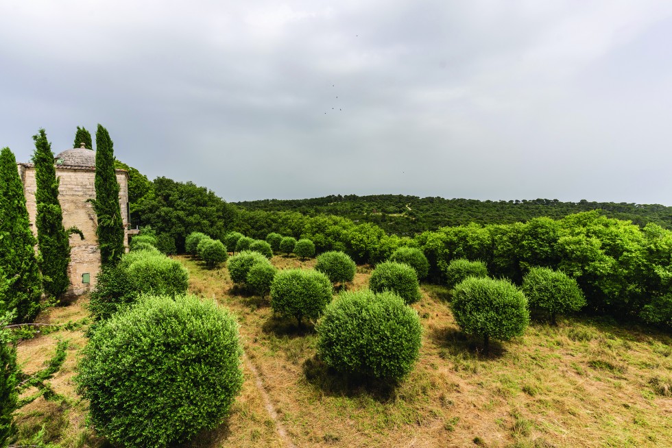 Cypress and olive trees at the town’s edge, and a break in the clouds over mountains.